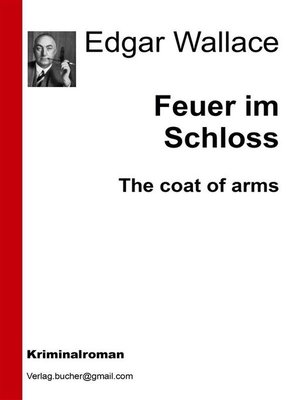 cover image of Feuer im Schloss